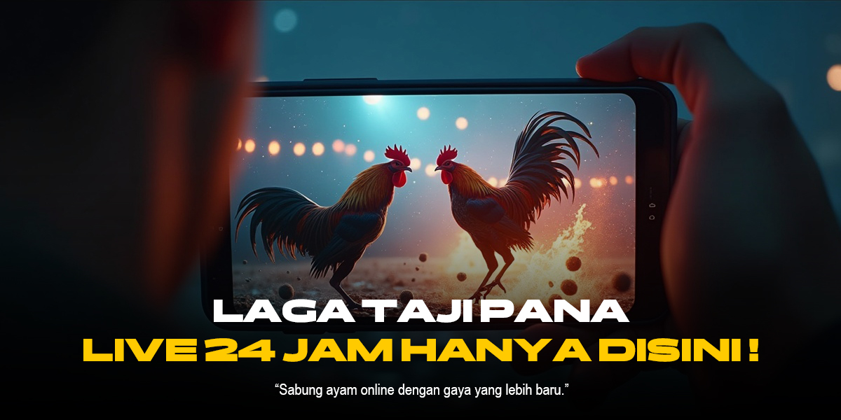 Sabung Ayam S128: Jenis Ayam Aduan dan Cara Menang Taruhan