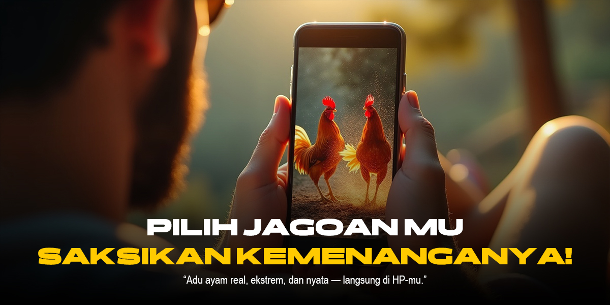 Menelisik Sabung Ayam SV388: Jenis Ayam, Odds, dan Provider Terkemuka
