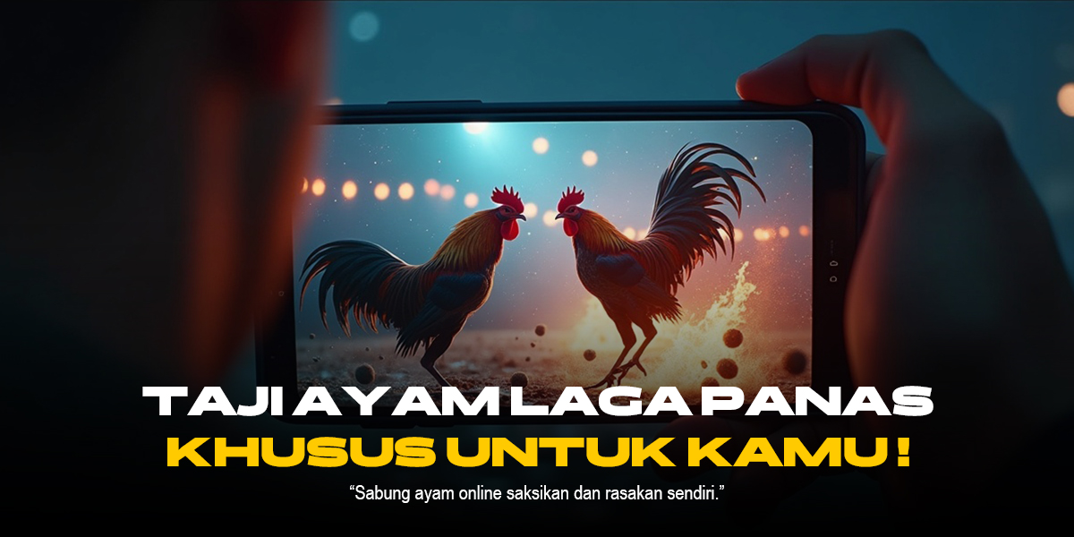 Mengenal Jenis Ayam Sabung di Platform SV388